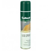 Spray Paint Classic Waterproofer